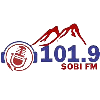 Sobi Logo